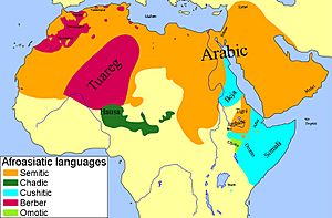 Hamito-Semitic languages