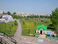 Kemerovo park-pobedy-dandelions