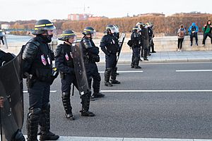 Manifestation Toulouse, 22 novembre 2014 (15857113342)