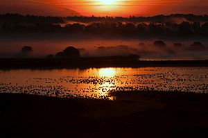 October sunrise at Montezuma National Wildlife Refuge