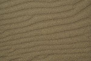 Sand ripple marks