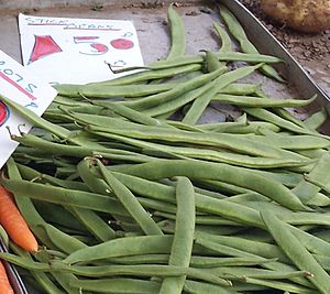 Stick beans for sale on a UK greengrocer's market stall in August 2013