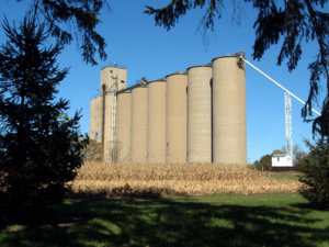 The grain elevators on the west side of town