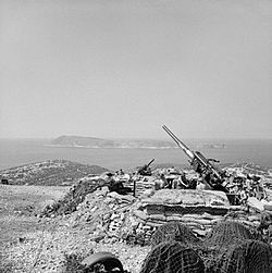 The British Army in the Adriatic 1944 NA18246