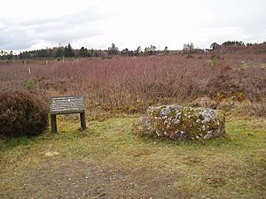 The Keppoch Stone, Culloden (geograph 6080638)