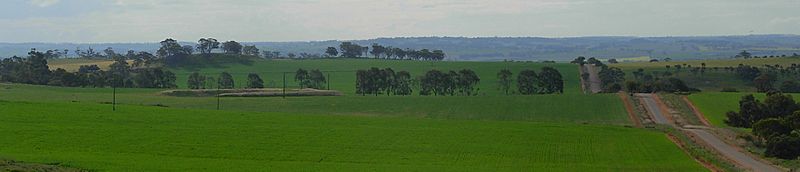 Wheatbelt panorama-2