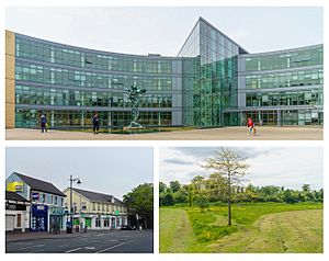 Clockwise from top: Fingal County Council's Civic Offices; Millennium Park; businesses in Blanchardstown during the COVID-19 pandemic