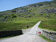 Entrance and road to Pets Quarry - geograph.org.uk - 461223