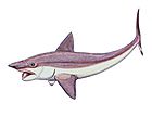 Helicoprion as chimeroid.jpg