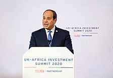 President Abdel Fattah Al-Sisi of Egypt speaking at the UK-Africa Investment Summit (49413821551)