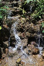 Spring water at Roncador, Utuado, Puerto Rico