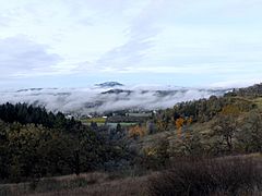 Willamette Valley fog