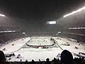 2014 NHL Stadium Series, Soldier Field