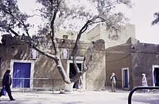ASC Leiden - van Achterberg Collection - 14 - 01 - La rue principale avec deux photos de Chadli Bendjedid - Tamanrasset, Algérie - 1984