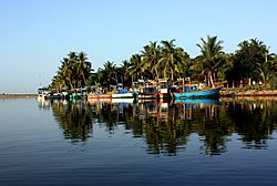 Fishing boats on Batticaloa Lagoon