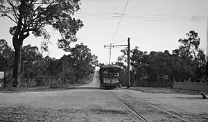 Fremantle tram Carrington