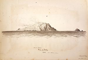 SLNSW PXA 2073 White Island October 1844