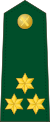 Spain-Civil Guard-OF-2.svg