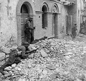 The British Army in Italy 1943 NA9996