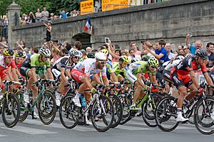 Tour de France, Paris 27 July 2014 (135)