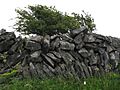 Burren fence made of rock