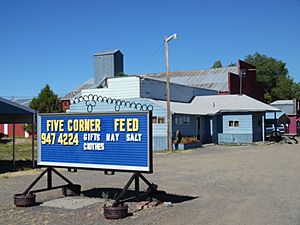 Feed store at Five Corners