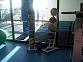 Gym 5