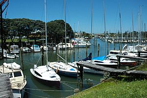 Milford Marina Auckland