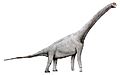Pelorosaurus2