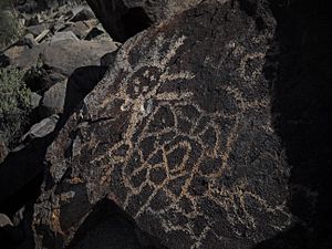 Picacho Petroglyphs-sun, network