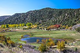 Scenic fall colours along Utah Hwy 14 - (22419172589)