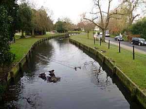The New River, Enfield park looking north