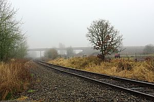 Railroad crossing of the Port of Tillamook Bay Railroad at Wilkesboro Road with Oregon 6 in the distance