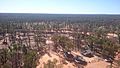 View from the Fire tower, Pilliga Scrub