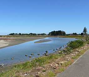 Manawatu Estuary 11.JPG
