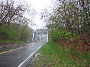 Southville Bridge 057