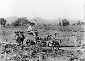 StateLibQld 2 157529 Farmer and his two children in the fields in the Lockyer, 1907