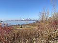 The Leslie Street Spit (Tommy Thompson Park) in Autumn