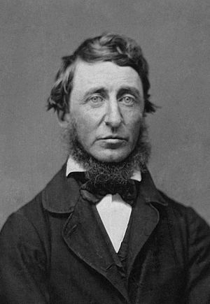 Benjamin D. Maxham - Henry David Thoreau - Restored - greyscale - straightened.jpg