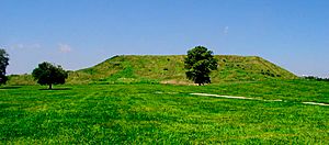 Cahokia monks mound HRoe 2008