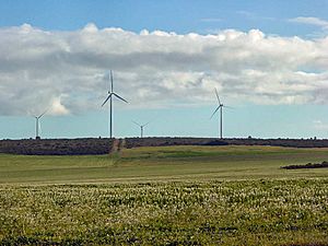 Geraldton Wind Farms DSC04308