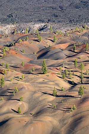 Painted Dunes and Fantastic Lava Beds (upright)