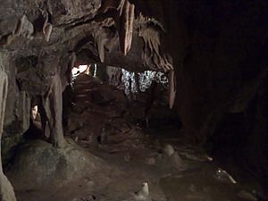 Stump Cross Caverns (791409019)