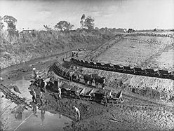 Torrens Flood Water Scheme Showing Horses Pulling Loads and Men(GN09762)