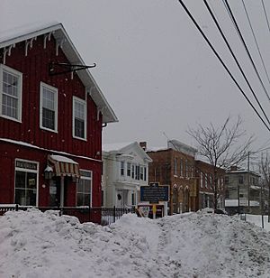 Village of Elbridge-Winter