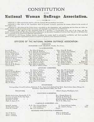 Constitution and officers of the National Woman Suffrage Association-1876