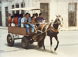 Cuban transport