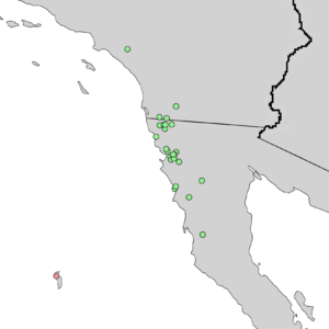 Cupressus forbesii & Cupressus guadalupensis range map 4.png