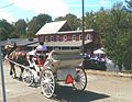 Historic Cedar Bluff Carriage Tour