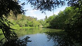 Jewel Lake Tilden Park.jpg
